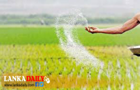 සති තුනක කාලයක් තුළ වී මෙට්‍රික් ටොන් 19,592ක් මිලදී ගෙන
