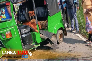 පෙර පාසැල් දරුවන් රැගත් ත්‍රීරෝද රථයක් බිහිසුණු අනතුරක
