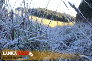 හෙට නුවරඑළියට මල්තුහීන