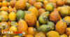 පුවක් ප්‍රචලිත කරන්න වැඩපිළිවෙලක්