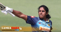 චමරි අතපත්තු අංක එකට