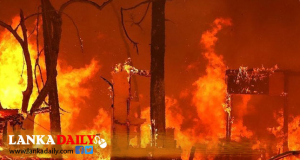 ඉතිහාසයේ ඇති වූ දරුණුතම ලැව් ගින්න තවත් උග්‍ර අතට