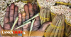 බීඩි මිළ අද සිට ඉහළට