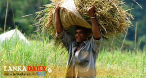 ස්වයංපෝෂිත රටක් තනමු !