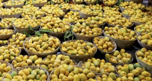 මෝදි අඹ