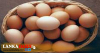 උත්සව සමය වෙනුවෙන් බිත්තර මිලියන 42ක්