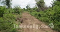 නාකොලගනේ කැලෑව කැළෑ පාලුවන් වනසයි,ගොවි පවුල් 1050ක් අසරණයි(photos)