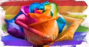 සිරිසේනගේ අමන කතාවට සමරිසි ප්‍රජාවගෙන් කනේ පහරක්
