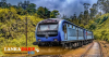 දුම්රිය ධාවනයට බාධා කරමින් පොඩි මැණිකේ නොමග යයි