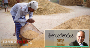 ආහාර සුරක්ෂිතතාවය සහ කෘෂි නවීකරණය - සාගල රත්නායක
