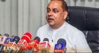 රබර් වගාවද වන වැස්මට ඇතුළත් කිරීමට තීරණයක් !
