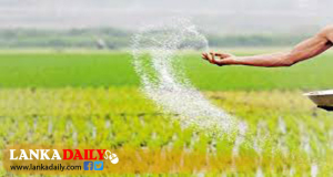 පොහොර සහනාධාර ලබා දීම මේ වනවිට 95%කින් අවසන්