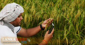 කෑම හිඟය නැත්තටම නැතිකරන්න ස්මාර්ට් වැඩක්
