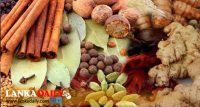 ගොවියා අධෛර්යමත් වෙන ගැසට්ටුව අත්හිටුවීමට පියවර