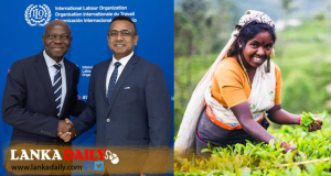 වතු සේවක වැටුප් ඉහළ දැමීම ගැන ජාත්‍යන්තර කම්කරු සංවිධානයේ පැසසුමට