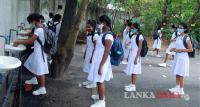 අද සිට ආරම්භ වූ පාසැල් කටයුතු