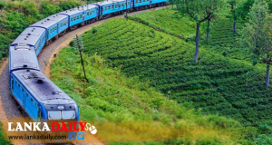 සංචාරක විදේශිකයින් දෙදෙනාට පහරදුන් දුම්රිය සේවකයින්ගේ වැඩ තහනමට