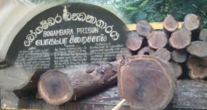 හිර ගෙරද දැව ප්‍රවාහනයේදී අතුරුදන්