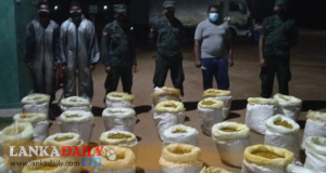 කහ කිලෝග්‍රෑම් 1150ක් යුද්ධ හමුදාවේ අත් අඩංගුවට