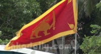 සිංහ රුව උඩු යටිකුරු කළ යටිනුවර ප්‍රා.සභාපති අත්අඩංගුවට