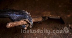 දේශීය යාන්ත්‍රණය සාධනීය පියවරක්