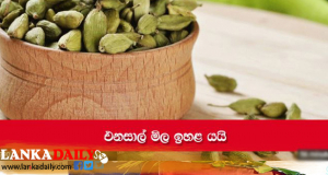 එනසාල් කිලෝවක මිළ 13000 දක්වා ඉහළට