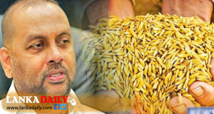 මෙවර වී මිලදී ගැනීම මුදල් අමාත්‍යාංශයේ මැදිහත් වීමෙන්