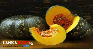 වට්ටක්කා අස්වැන්න අලෙවි කරගත නොහැකිව ගොවි පවුල් දස දහසක් අමාරුවේ