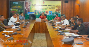 වනාන්තර ගිනි තැබීම වැළැක්වීමට දැඩි පියවරක්
