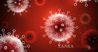 අද දවසට 582 ක් සුවය ලබයි !