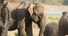 සැප්තැම්බරයේ යාල වසයි