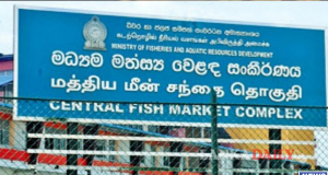 වසා දැමුණු පෑලියගොඩ මත්ස්‍ය වෙළෙඳ පොළත් විවෘතයි.