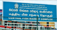 වසා දැමුණු පෑලියගොඩ මත්ස්‍ය වෙළෙඳ පොළත් විවෘතයි.