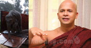 උඩුවේ අලියා ගෙනාපු හැටි - මාධ්‍යවේදී සජීව විජේවීරගේ හෙලිදරව්ව