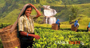 ලොව හොඳම සංචාරක දූපත ලෙස ශ්‍රී ලංකාව නම් කරයි