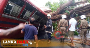කොල්ලුපිටිය අනතුරින් 5ක් මරුට !