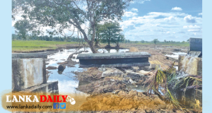 දිට්වා හේතුවෙන් කුරුණෑගල සත්ව පාලනය යටතේ ඇති කළ සතුන් 311805ක් මිය ගිහින්