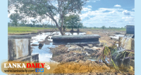 දිට්වා හේතුවෙන් කුරුණෑගල සත්ව පාලනය යටතේ ඇති කළ සතුන් 311805ක් මිය ගිහින්