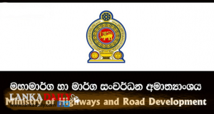කෲඩියා ගස ඉවත් නොකර අධිවේගී මාර්ගය ඉදිකිරීමට තීරණය