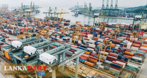 වරායේ සිරවූ ආහාර ද්‍රව්‍ය බහාලුම් 800 න් 400 ක් මුදාහරී