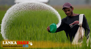 රසායනික පොහොර තහනම ඉවතට