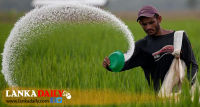 රසායනික පොහොර තහනම ඉවතට