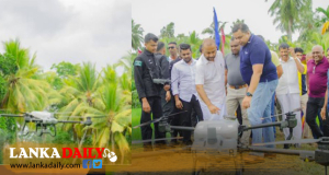 දිස්ත්‍රික්ක 15ක වී වගාවේ පළිබෝධ නාශක ඉසීම ඩ්‍රෝන තාක්ෂණයෙන්