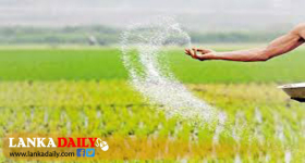 යල කන්නය සඳහා පොහොර සහනාධාර ලබා දීම ඇරඹේ