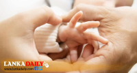 කිරි සිහිනය සැබෑ කරගන්න රජයෙන් අත්වැලක්
