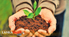 කාබනික වගාවෙන් ගොඩයන අලුතෙන් හිතන මිනිස්සු