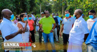 අක්කර ½ කින් සතියකට රුපියල් 80000 –100000 අතර ආදායම ලබන පැෂන් වගා ව්‍යාපෘතියක්!