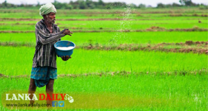 ගොවි ජනතාවට ප්‍රතිලාභ රැසක් !