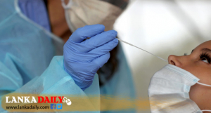 දෛනික PCR ගණන ඉහළ දැමීමට පියවර