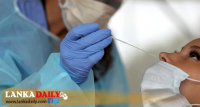 දෛනික PCR ගණන ඉහළ දැමීමට පියවර